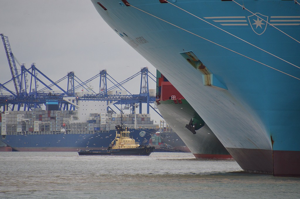 KS Munkebo Maersk with a tug on CSCL Globe two 400metre length vessels Today at FXT.JPG